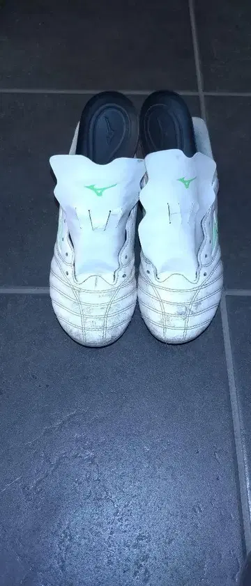 Mizuno 모나르시다 네오 스파이크 화이트/그린