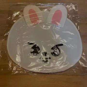 stray kids 리노 부채 케이스