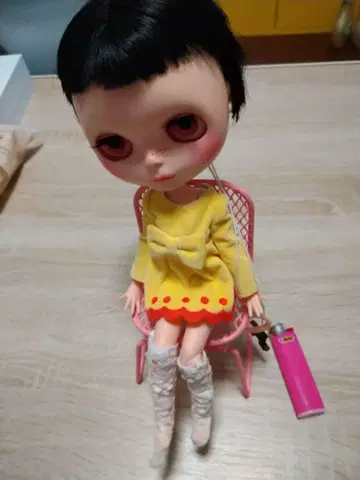 네오 브라이스 본체