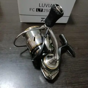 다이와 20 루비아스 FC LT2500S-XH DAIWA