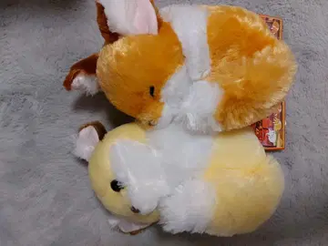 쵸콘과 여우, 둥글게 잠든 30cm 전후 봉제 인형, 콩가루, 콘페이토