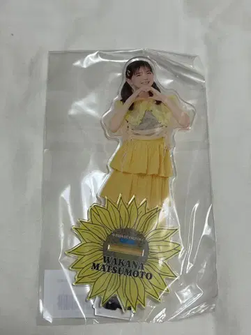 안주루무 마츠모토 와카나 BIG 아크릴 스탠드