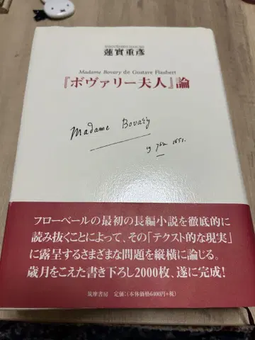 '보바리 부인'에 대한 논평