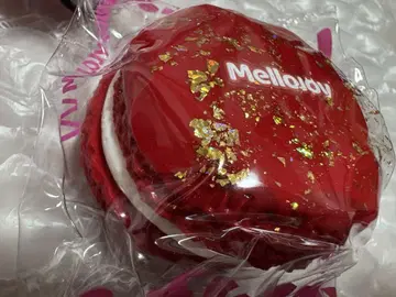 mellojoy 스퀴즈