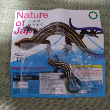 Nature of Japan 일본의 생물 02 일본 도마뱀 가챠가챠