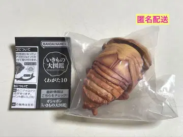 생물대도감 장수풍뎅이 10 오쿠와가타 번데기 가챠가챠