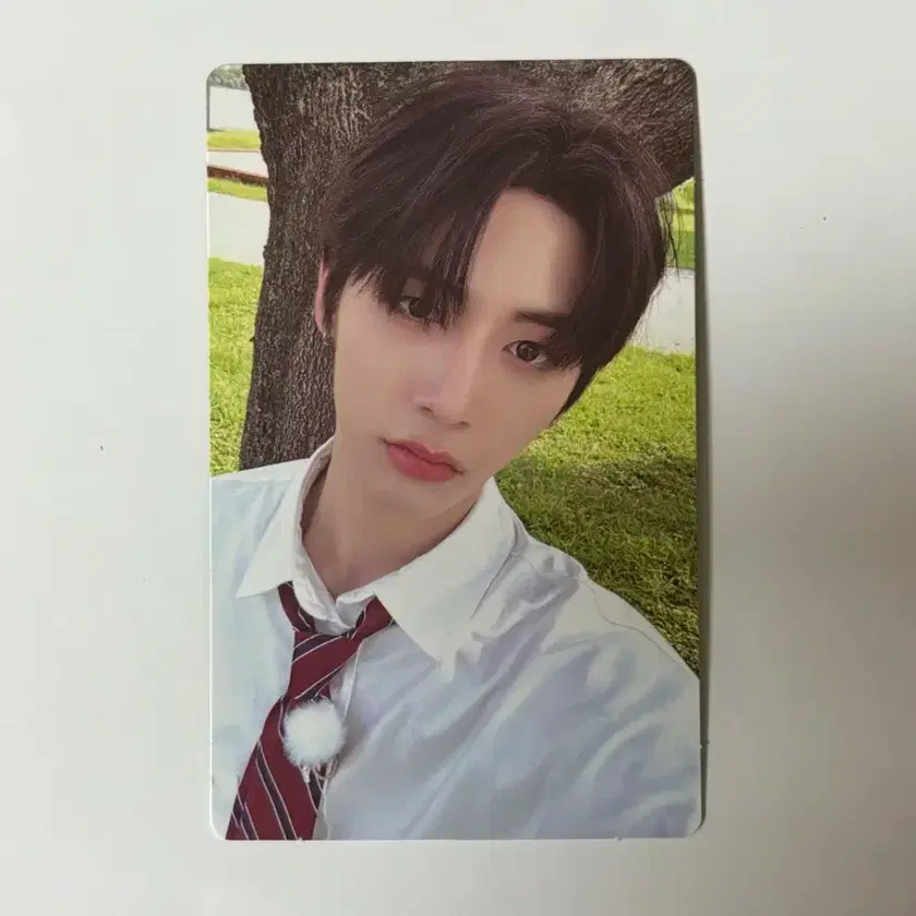 【BOYNEXTDOOR】ktown4uラキドロ　トレカ　テサン BOYNEXTDOOR(ボイネク) ジャンルなし テサン(TAESAN) ktown4u