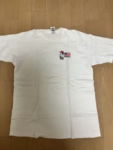 Fruit of the loom 빈티지 90년대 구제 의류 티셔츠
