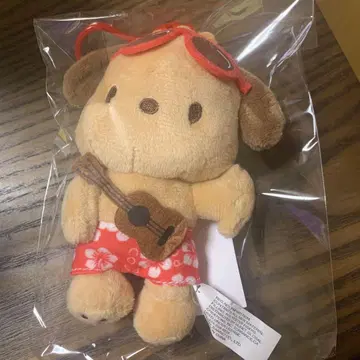 포차코 하와이 한정판