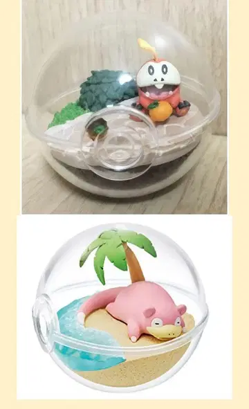 포켓몬 리멘트 야돈 뜨아거(호게타)