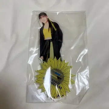 안주루무 시모이타니 유코 BIG 아크릴 스탠드