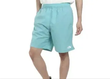 THE NORTH FACE 터콰이즈 숏팬츠