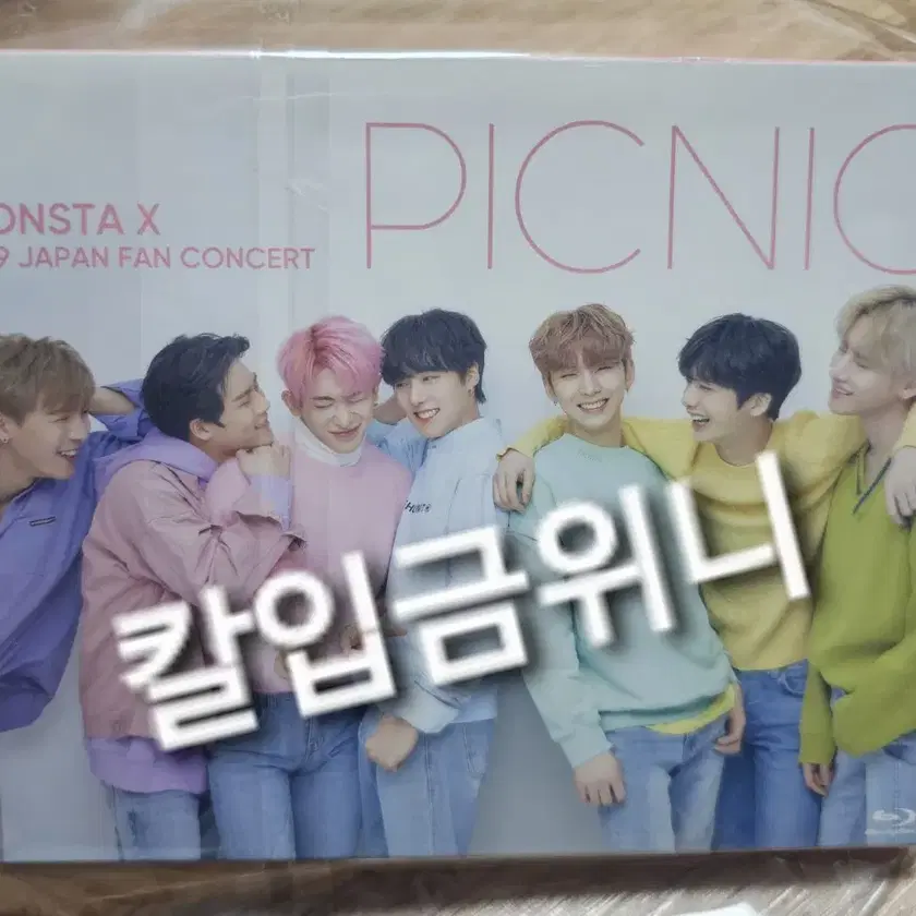 (未使用･未開封品)MONSTA X, JAPAN FAN CONCERT 2019[DVD] MONSTA X JAPAN FAN CONCERT 2019[PICNIC][DVD] - MONSTA X