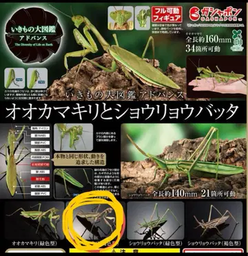 생물대도감 어드밴스 오오카마키리