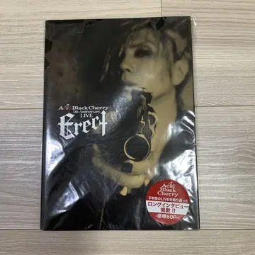 acid black cherry Erect 팜플렛