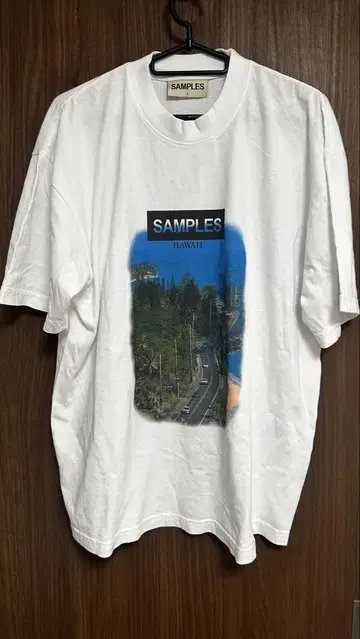 SAMPLES 아사오카 슈 HAWAII Ted L 새상품 무료배송!