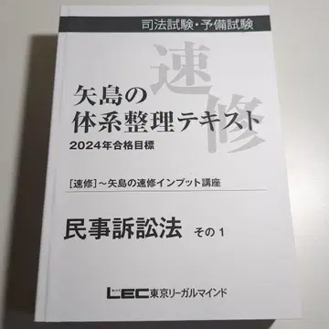 야지마의 체계 정리 텍스트 2024년 민사소송법