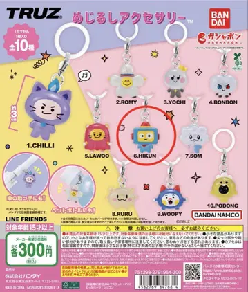 TRUZ 메지루시 액세서리 treasure HIKUN