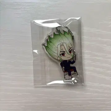 Dr.STONE 닥터 스톤 이시가미 치쿠루 아크릴 키링 방과 후