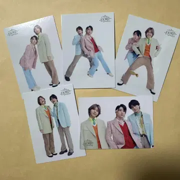 미세스 그린 애플 피요르드 포토 카드 5장 세트