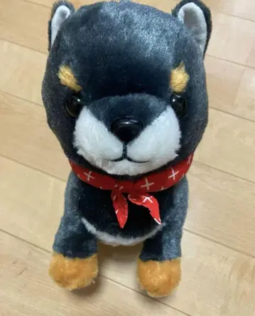 시바견 봉제 인형 콩 시바견