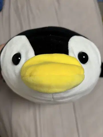 펭귄 봉제 인형 빅