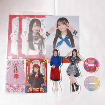 AKB48 스페셜 복권 백조 사레 아크릴 스탠드 브로마이드 봄 네이비