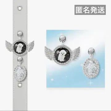 FINDKAPOOR X HURJABOY ACC 펫 세트