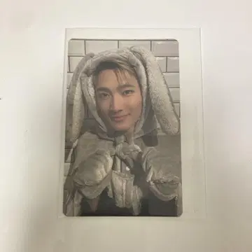 원인은 나에게 있다. 켄지부 사쿠라기 마사야 트레이딩 카드