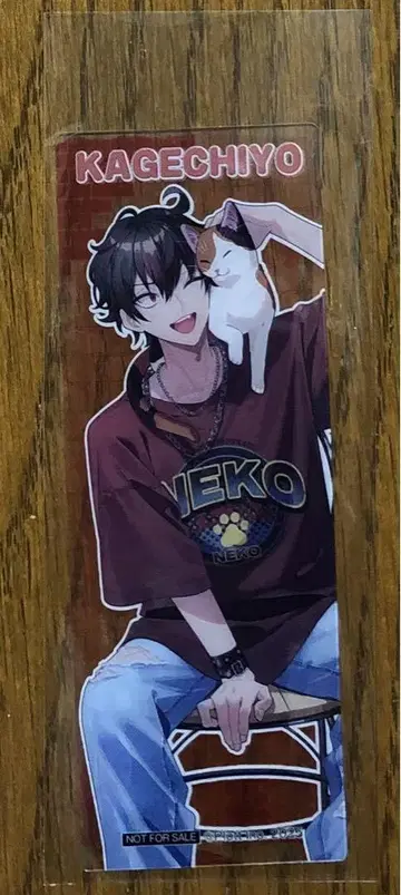 혼혈의 카레코레 마네키네코 혜택 클리어 북 마커 카게치요