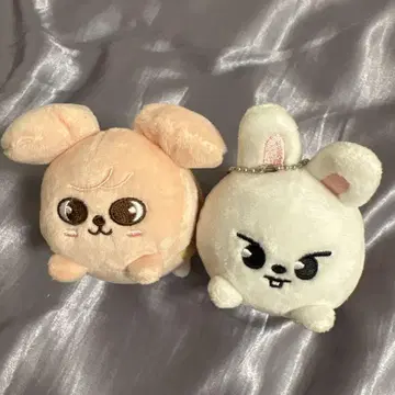 skzoo 마스코트 이혼 위기