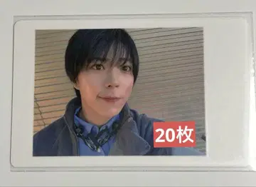팬더 드래곤 파치 하피카