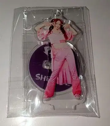 PIGGS SHELLME 아크릴 스탠드