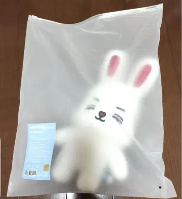 SEVENTEEN 에스크푸스 MINITEEN 팝업 봉제 인형