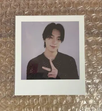 SEVENTEEN HAPPY BURSTDAY 리스파 폴라로이드 DINO