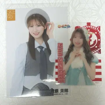 스가하라 마야