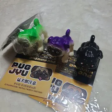 아키파구 PUGJYU 퍼그 짐승 3개 세트
