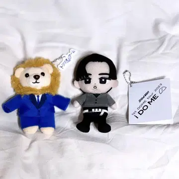 스노 치루 메구로 렌 세트