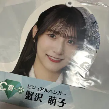 카니사와 모에코 비주얼 행거 C상