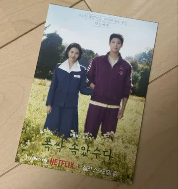 수고하셨습니다 한국 드라마 폭싹 속았수다 엽서 IU 박보검