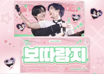 straykids 흠집 슬로건 리노 한 지성