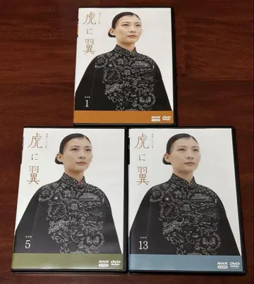 연속 TV 소설 호랑이에게 날개 전권 완결 세트 DVD