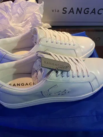 상가시오 SG8 진주 백색