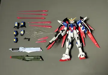 RG 데스티니 건담