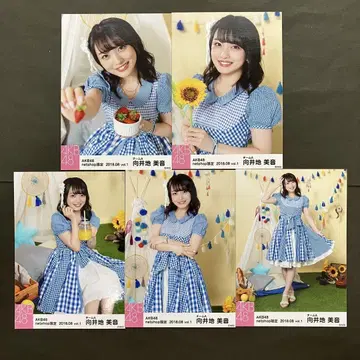 무카이 미네 AKB48 브로마이드 5장 컴프 3