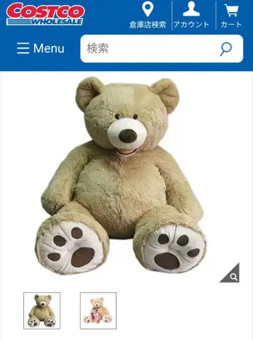 코스트코 곰