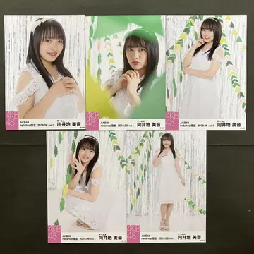 무카이 미네 AKB48 브로마이드 5장 컴프 9
