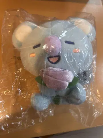 BTS KOYA 봉제 인형