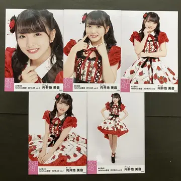 무카이 미네 AKB48 브로마이드 5장 컴프 12
