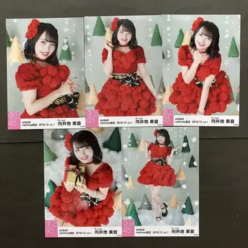 무카이 미네 AKB48 브로마이드 5장 컴프 13